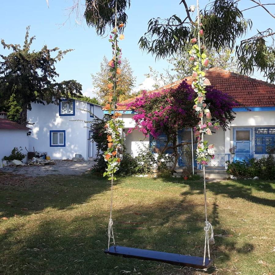 Okaliptus Butik Hotel Fethiye Esterno foto