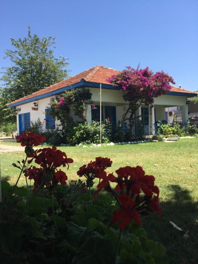 Okaliptus Butik Hotel Fethiye Esterno foto